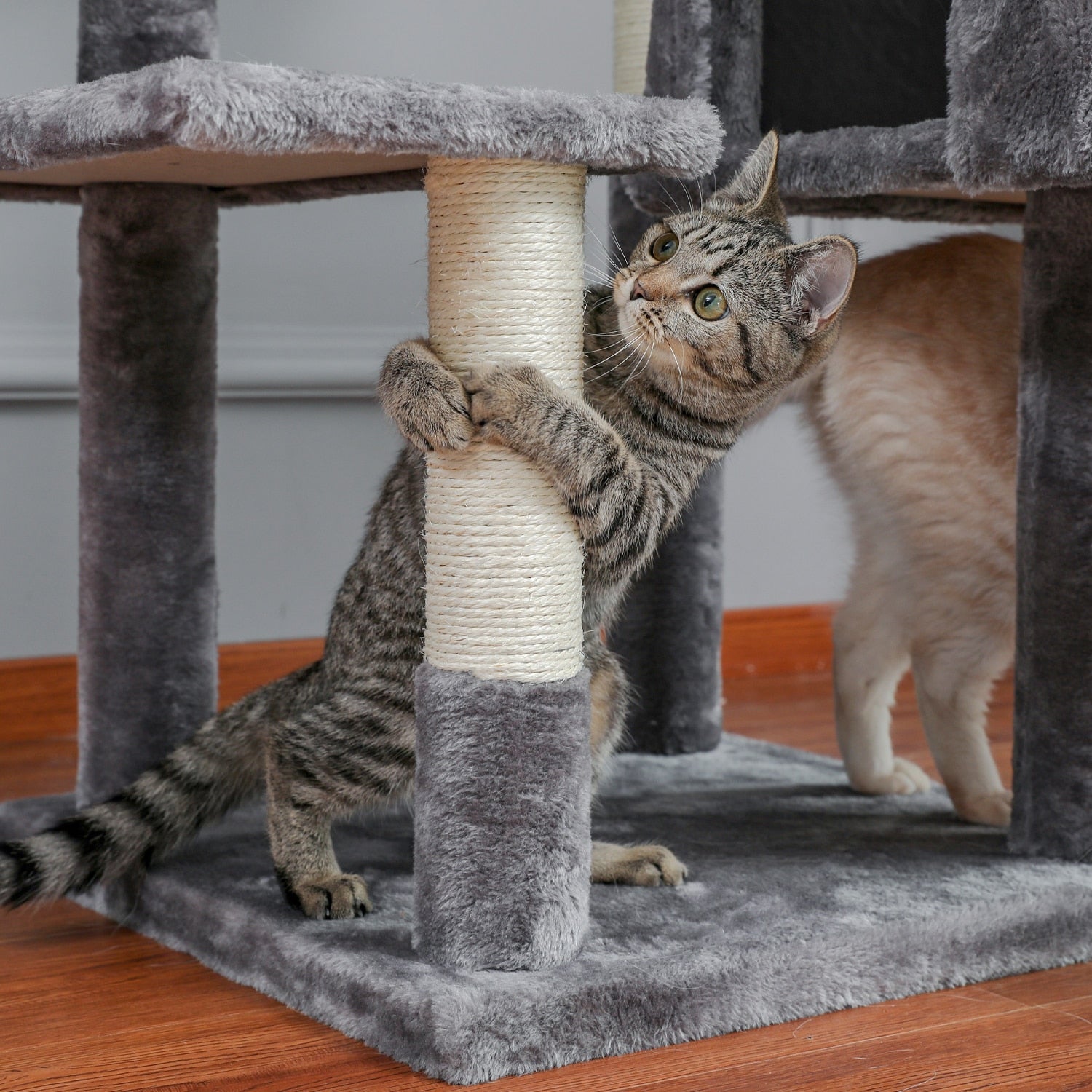 Large 63 inches Sturdy Cat Tree - COOLCrown Store