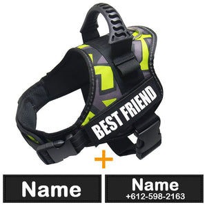 dog-diy-harness.jpg