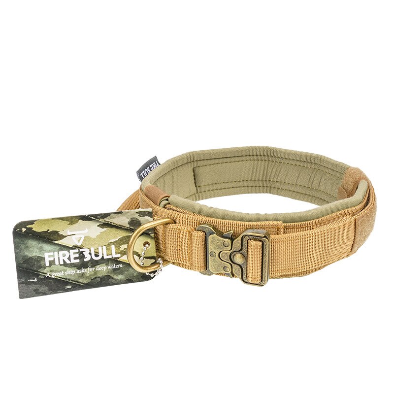 dog-collar-and-leash-set.jpg