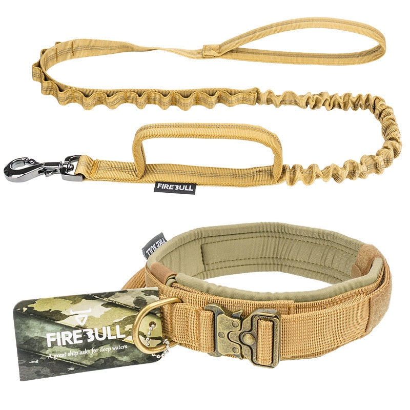 dog-collar-and-leash-set.jpg