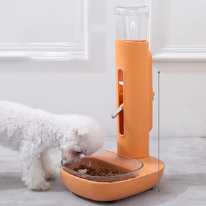 automatic-pet-drinker-bowls.jpg