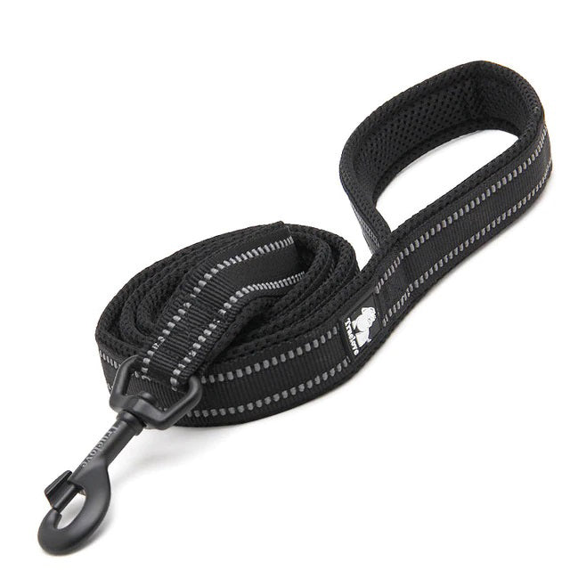 Dog Visibility Leash - COOLCrown Store