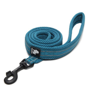 Dog Visibility Leash - COOLCrown Store