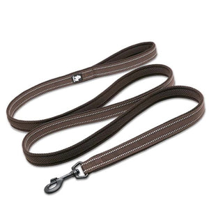 Dog Visibility Leash - COOLCrown Store