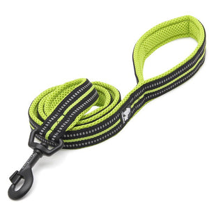 Dog Visibility Leash - COOLCrown Store