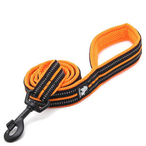 Dog Visibility Leash - COOLCrown Store