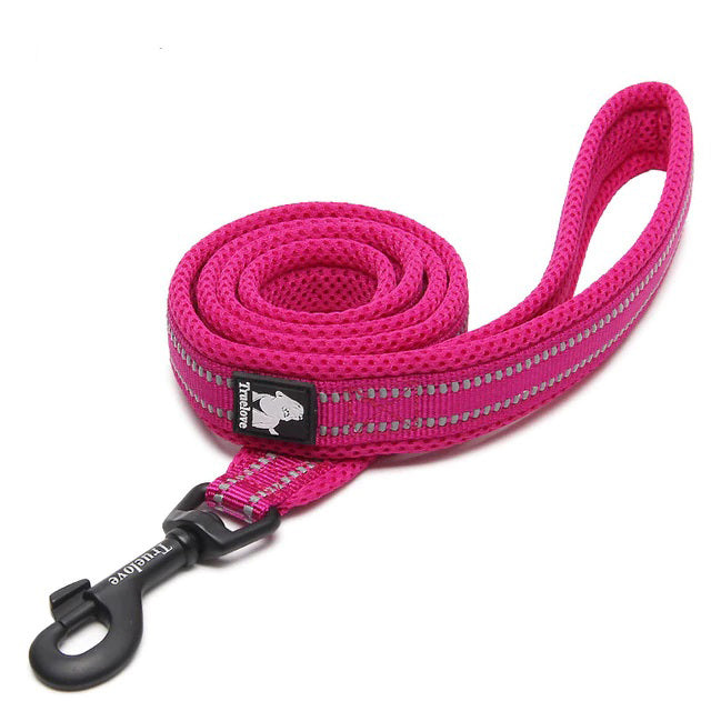 Dog Visibility Leash - COOLCrown Store