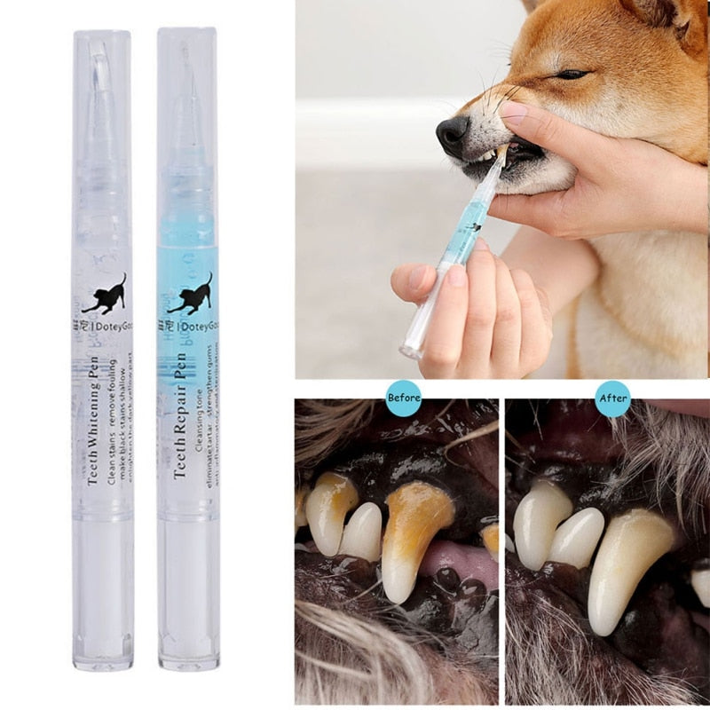 dog-tooth-scaler-and-cleaning-pen.jpg