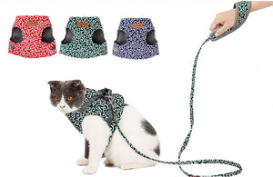 Cat Vest Harness and Leash Set to Outdoor Walking - COOLCrown Store