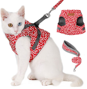 cat-leashes.jpg