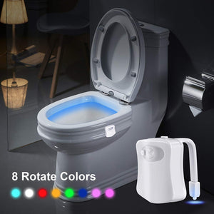 lighted-toilet.jpg