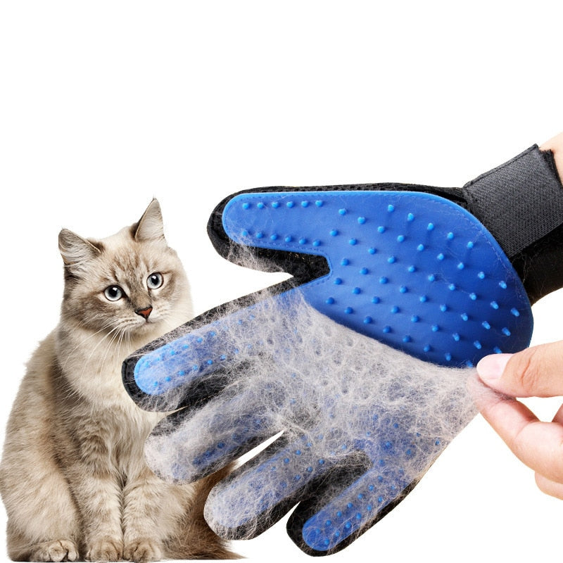 pet-grooming-gloves.jpg