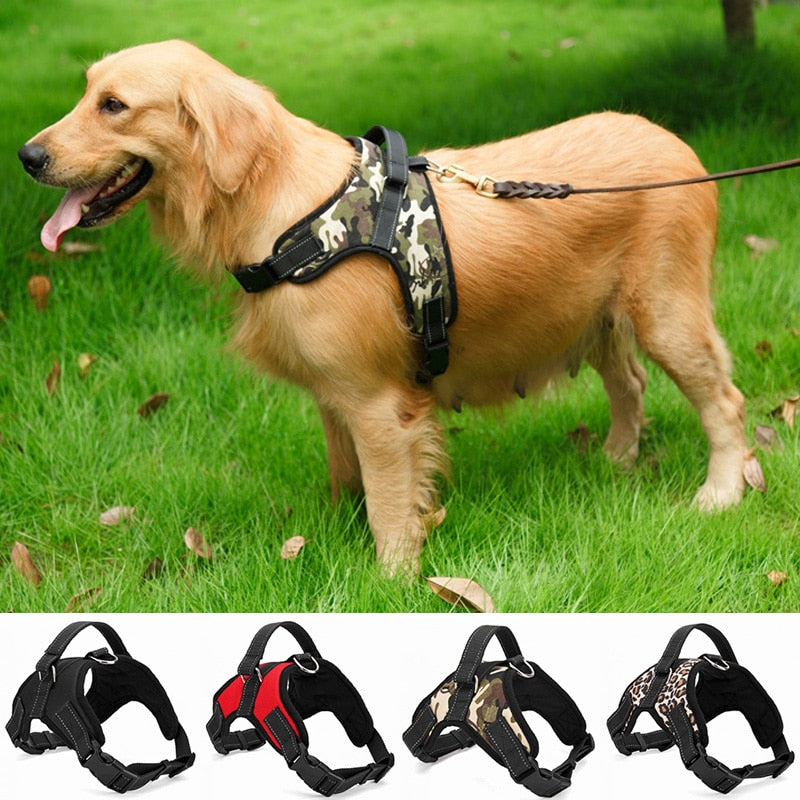 nylon-heavy-duty-dog-pet-adjustable-padded-harness-collar.jpg