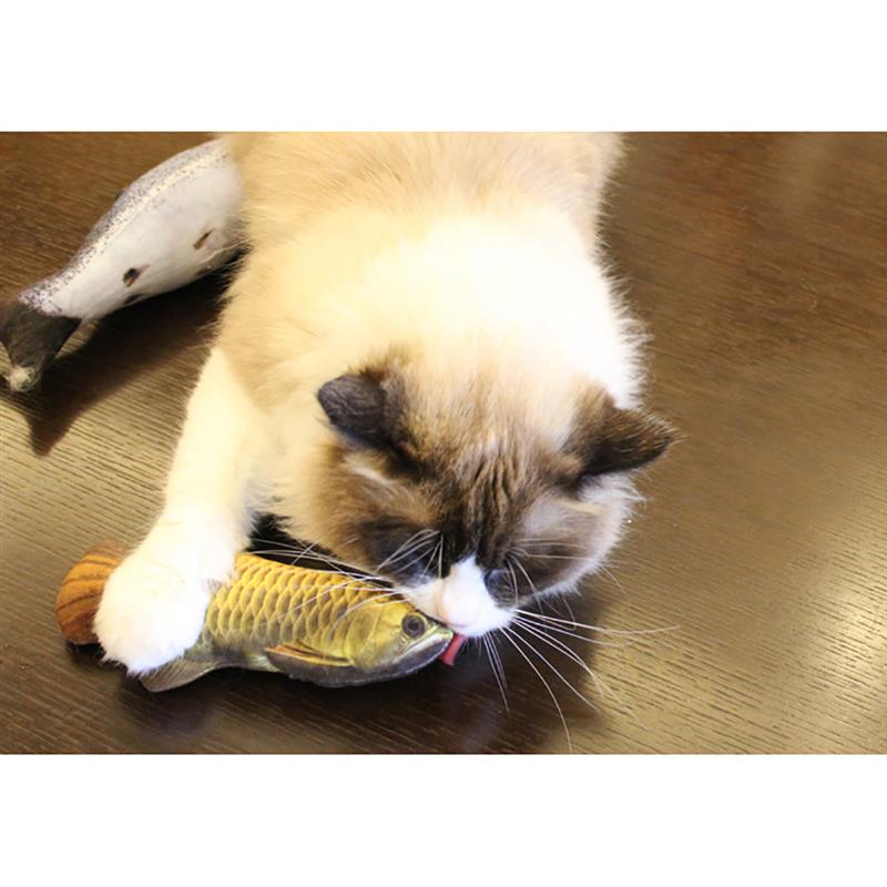 3D Fish Shape Cat Toy - COOLCrown Store