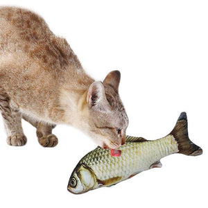 3D Fish Shape Cat Toy - COOLCrown Store