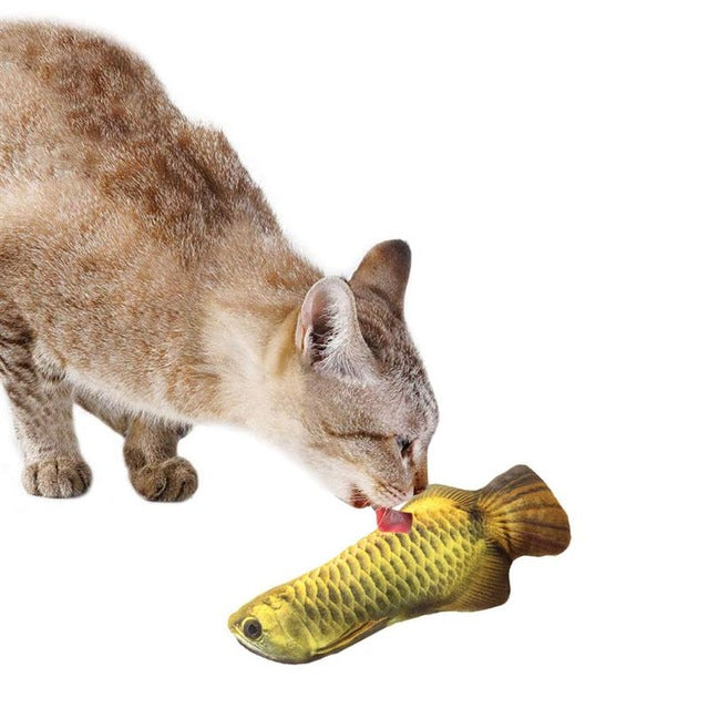 3D Fish Shape Cat Toy - COOLCrown Store