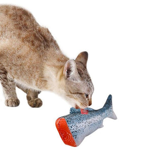 3D Fish Shape Cat Toy - COOLCrown Store