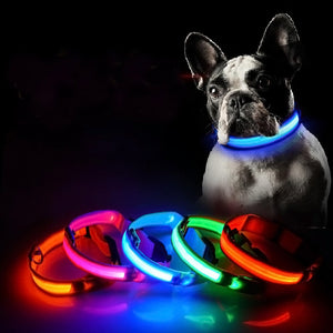 USB Premium Glow In The Dark Led Dog Safety Collar - COOLCrown Store