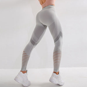 Women Seamless  Leggings - COOLCrown Store