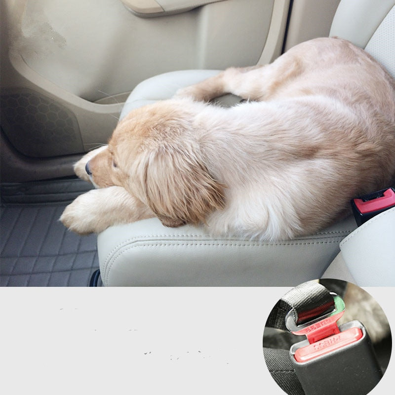 Pet Car Seat Belt - COOLCrown Store