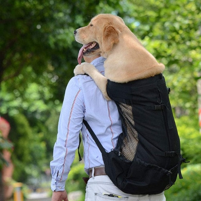 backpack-for-dogs.jpg