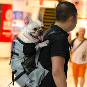 Adjustable Pet Dog Carrier Bag - COOLCrown Store