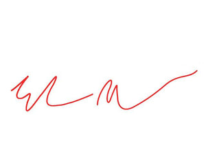 Elon Musk Signature Sticker For Tesla - COOLCrown Store