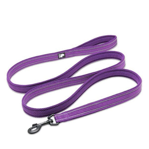 Dog Visibility Leash - COOLCrown Store