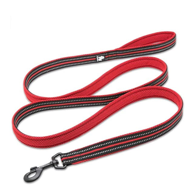 Dog Visibility Leash - COOLCrown Store